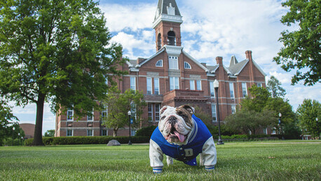 Drake University