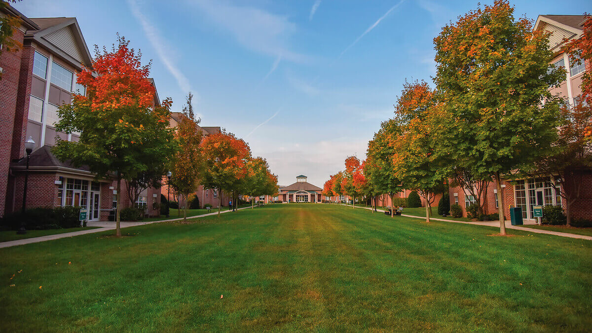 Stevenson University Stevenson University