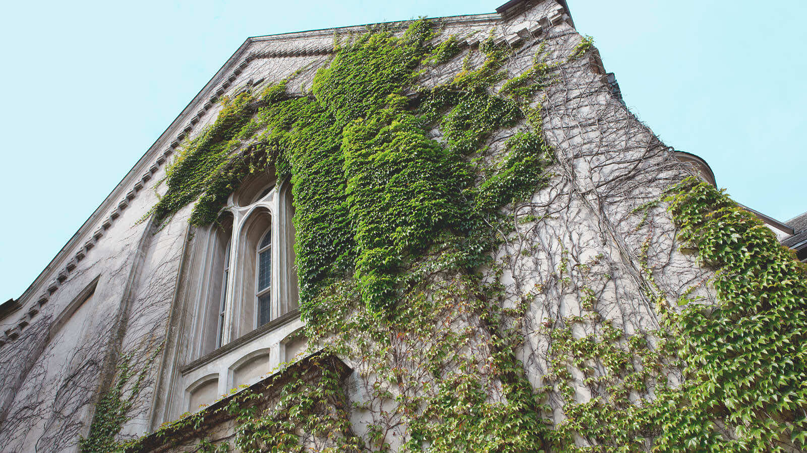 Stock image of College Campus wall